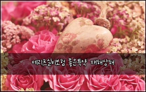 메리츠실비보험 좋은특약  재해상해