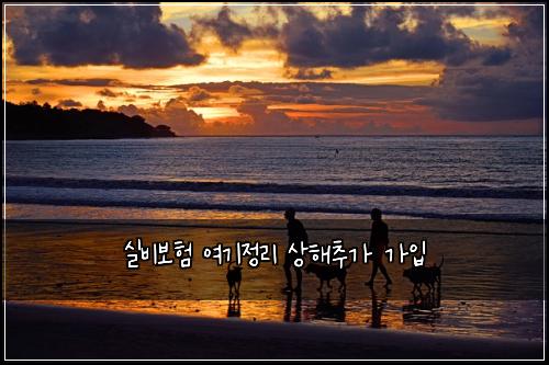 ์ค๋น๋ณดํ ์ฌ๊ธฐ์ ๋ฆฌ ์ํด์ถ๊ฐ ๊ฐ์