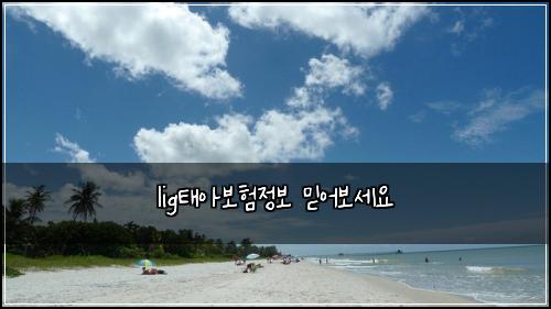 ligํ์๋ณดํ์ ๋ณด ๋ฏฟ์ด๋ณด์ธ์