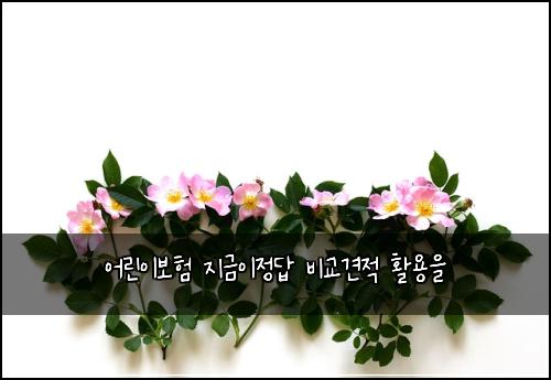์ด๋ฆฐ์ด๋ณดํ ์ง๊ธ์ด์ ๋ต ๋น๊ต๊ฒฌ์ ํ์ฉ์