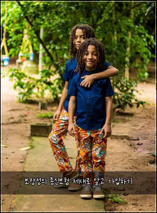 보장성의 종신보험 제대로 알고 가입하기