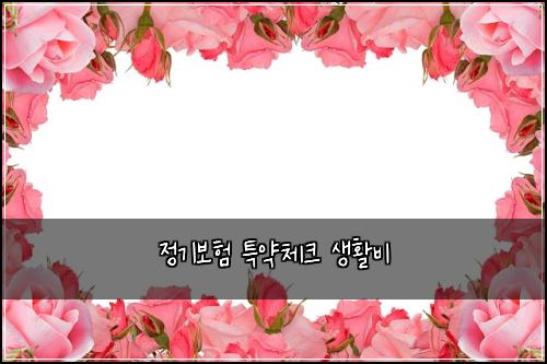 ์ ๊ธฐ๋ณดํ ํน์ฝ์ฒดํฌ ์ํ๋น