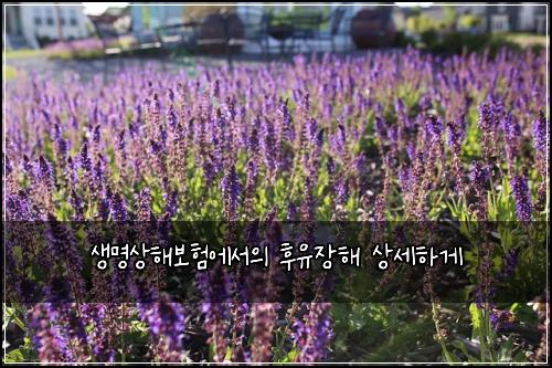 ์๋ช
์ํด๋ณดํ์์์ ํ์ ์ฅํด ์์ธํ๊ฒ