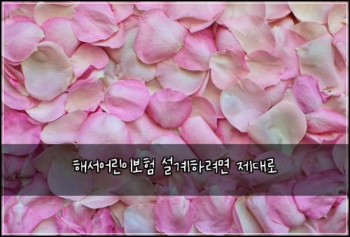 ํด์์ด๋ฆฐ์ด๋ณดํ ์ค๊ณํ๋ ค๋ฉด ์ ๋๋ก