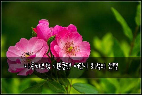 자동차보험 기본플랜  어린이 최적의 선택