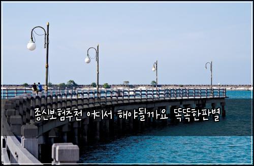 ์ข
์ ๋ณดํ์ถ์ฒ ์ด๋์ ํด์ผ๋ ๊น์ ๋๋ํํ๋ณ