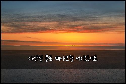 ๋ค๋ญ์ฑ ํด๋ก ํ์๋ณดํ ์ฌ๊ธฐ์์ด์