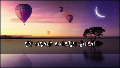임신 가입하는 태아보험의 일아보기