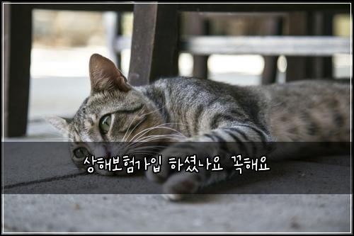 ์ํด๋ณดํ๊ฐ์
ํ์
จ๋์ ๊ผญํด์
