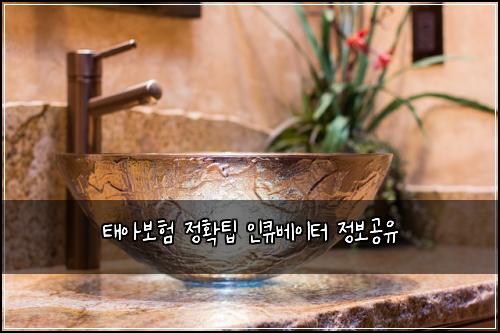 ํ์๋ณดํ ์ ํํ ์ธํ๋ฒ ์ดํฐ ์ ๋ณด๊ณต์