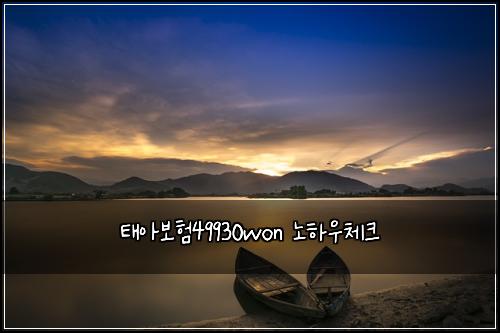 태아보험49930won 노하우체크