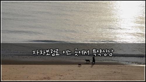 자차보험료 어느 곳에서 특약상담