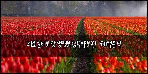 μλ£μ€λΉλ³΄μ₯μλͺ
보ννΉμ½λ³΄μ ννλΆμ