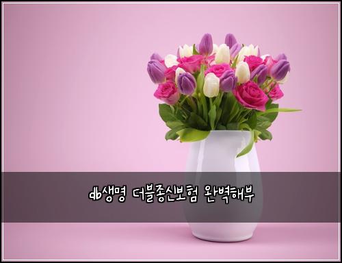 db생명 더블종신보험 완벽해부 