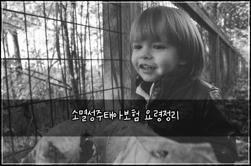 소멸성주태아보험 요령정리 