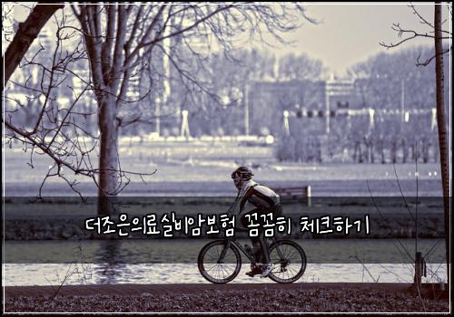 더조은의료실비암보험 꼼꼼히 체크하기