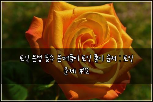 토익 문법 필수 문제풀이 토익 풀이 순서 : 토익 문제 #72