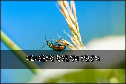 의료비실손보험 확실한정리  신한상해