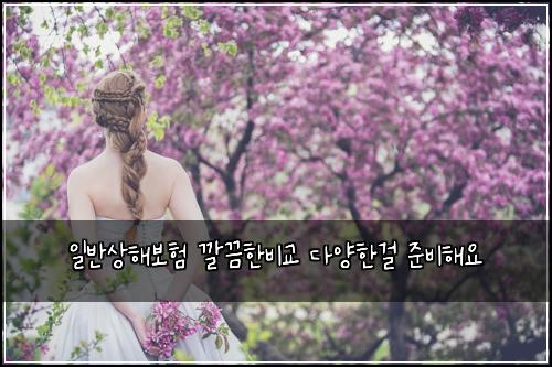 일반상해보험 깔끔한비교  다양한걸 준비해요