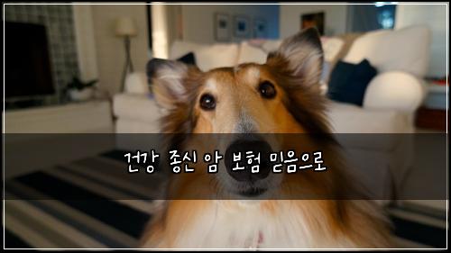 ๊ฑด๊ฐ ์ข
์ ์ ๋ณดํ ๋ฏฟ์์ผ๋ก