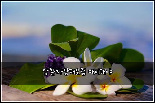 ์ํ์์ํด๋ณดํ ๋๋นํด์ผ