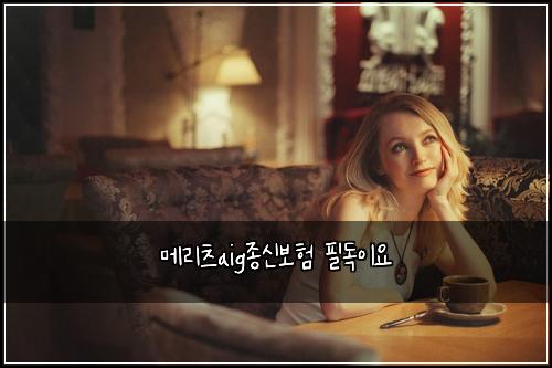 메리츠aig종신보험 필독이요 