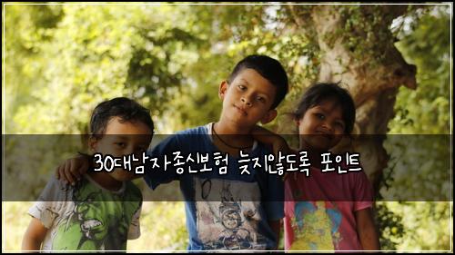 30대남자종신보험 늦지않도록  포인트