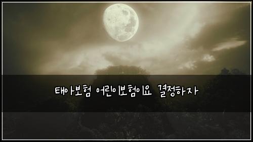 νμ보ν μ΄λ¦°μ΄λ³΄νμ΄μ κ²°μ νμ
