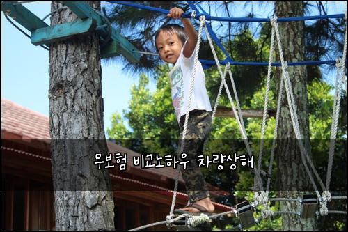 무보험 비교노하우  차량상해