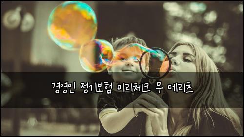 경영인 정기보험 미리체크  무 메리츠