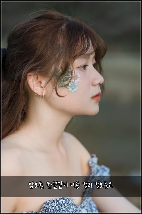암보험 한결같이  내용 정리 정보중요