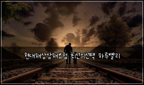 ํ๋ํด์์ํด๋ณดํ ์ต์ ์์ ํ ํ๋ฃจ๋นจ๋ฆฌ