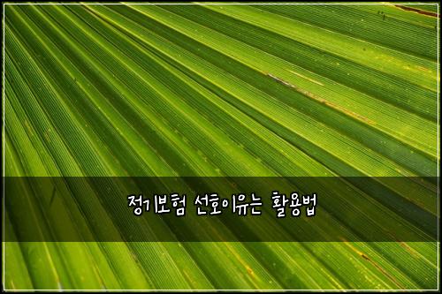 정기보험 선호이유는  활용법