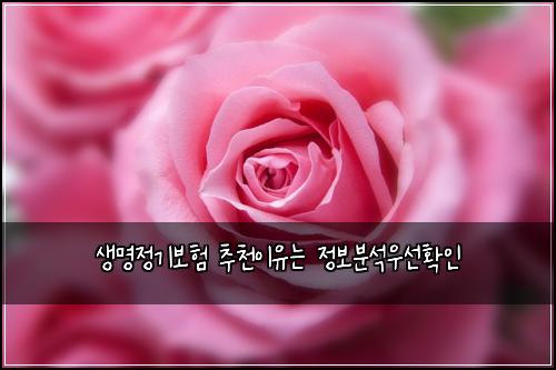 ์๋ช
์ ๊ธฐ๋ณดํ ์ถ์ฒ์ด์ ๋ ์ ๋ณด๋ถ์์ฐ์ ํ์ธ