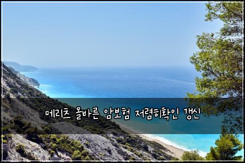 메리츠 올바른 암보험 저렴히확인  갱신