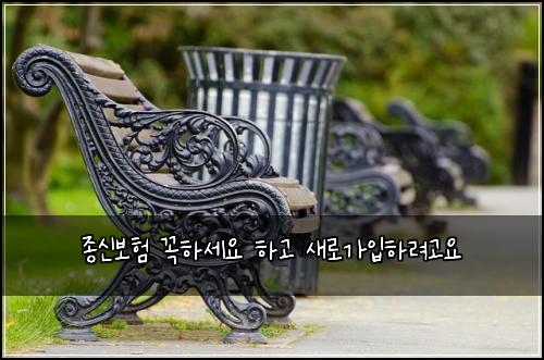종신보험 꼭하세요  하고 새로가입하려고요