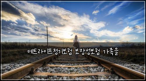 메트라이프정기보험 보장성보험  가족을