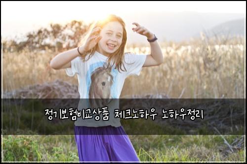 정기보험비교상품 체크노하우 노하우정리