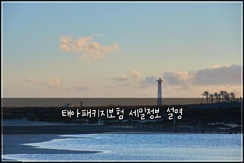 태아패키지보험 세밀정보  설명