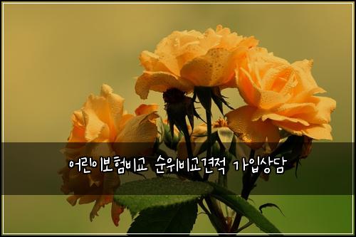์ด๋ฆฐ์ด๋ณดํ๋น๊ต ์์๋น๊ต๊ฒฌ์ ๊ฐ์
์๋ด