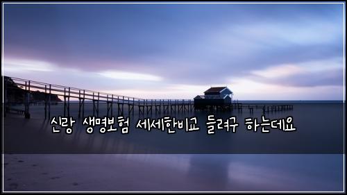 신랑 생명보험 세세한비교  들려구 하는데요