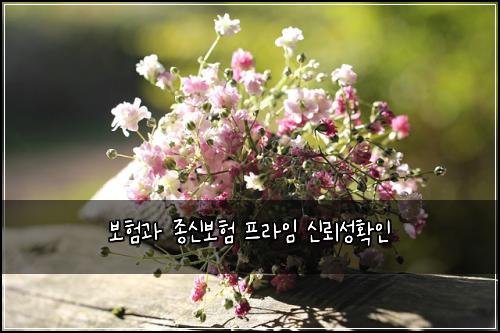 보험과 종신보험 프라임 신뢰성확인