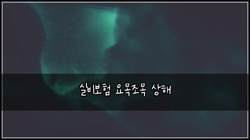 실비보험 요목조목  상해