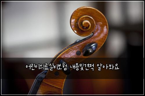어린이의료실비보험 내용및견적  알아봐요