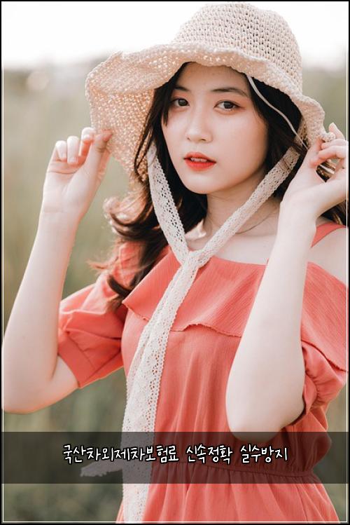 ๊ตญ์ฐ์ฐจ์ธ์ ์ฐจ๋ณดํ๋ฃ ์ ์์ ํ ์ค์๋ฐฉ์ง