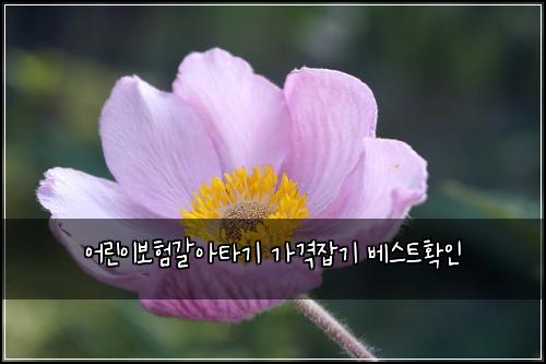์ด๋ฆฐ์ด๋ณดํ๊ฐ์ํ๊ธฐ ๊ฐ๊ฒฉ์ก๊ธฐ ๋ฒ ์คํธํ์ธ