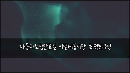 자동차보험만료일 이렇게봅시당 최적화구성