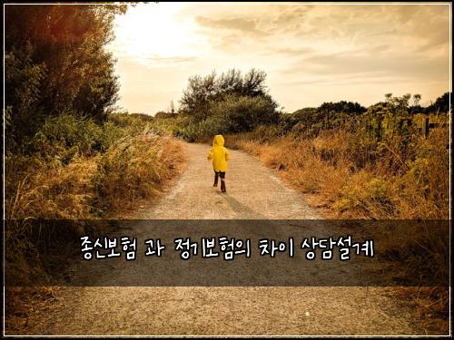 종신보험 과 정기보험의 차이 상담설계