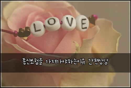 ์ข
์ ๋ณดํ์ ๊ฐ์ ธ๊ฐ์ผํ๋์ด์ ๊ฐํธ์๋ด