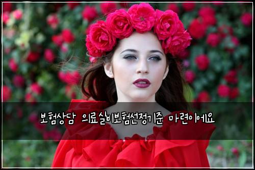 ๋ณดํ์๋ด ์๋ฃ์ค๋น๋ณดํ์ ์ ๊ธฐ์ค ๋ง๋ จ์ด์์